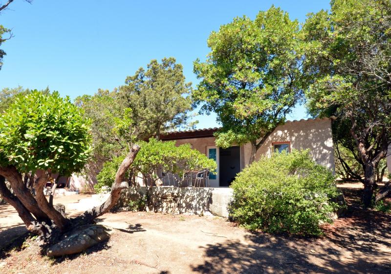 Bungalow C Plus Clim